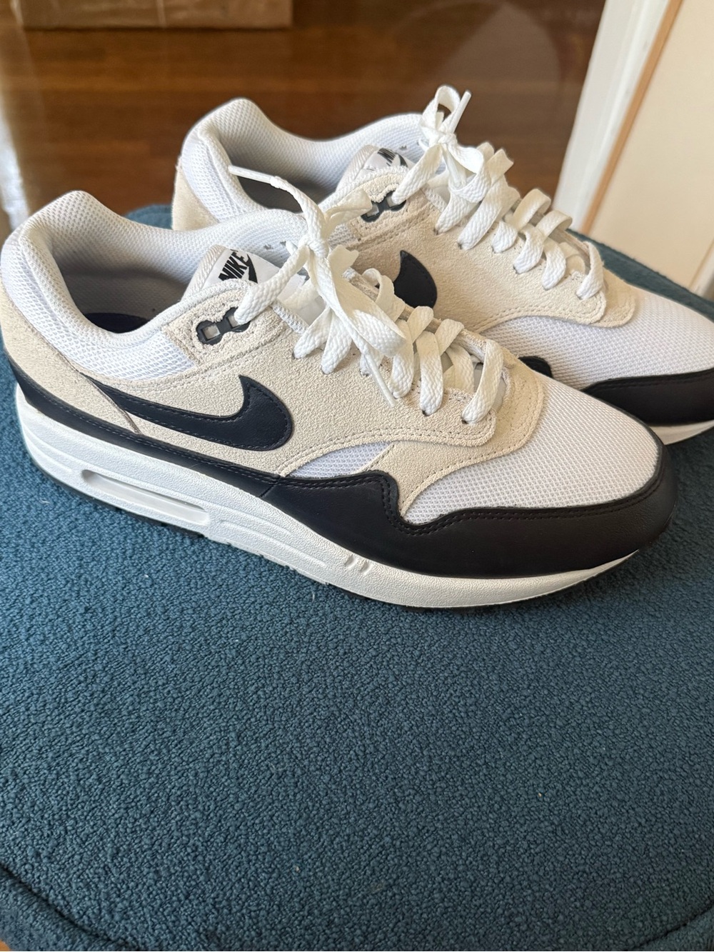 Nike Men’s White and Black Air Max 1